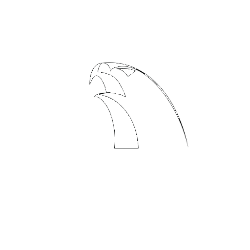 Alliance Jiu Jitsu
